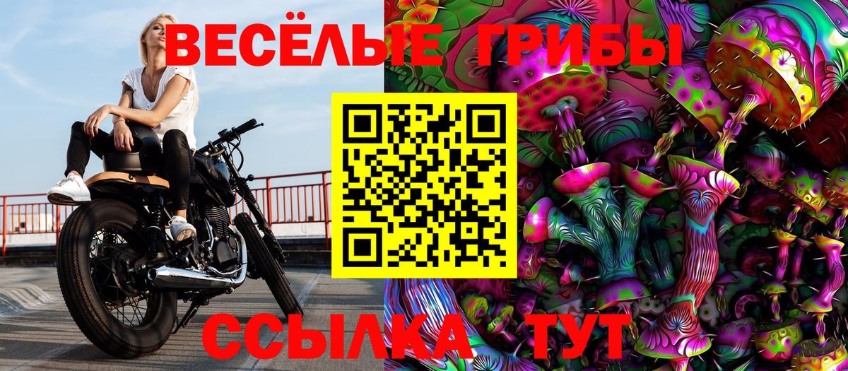 Галлюциногенные грибы Magic Shrooms Великий Устюг